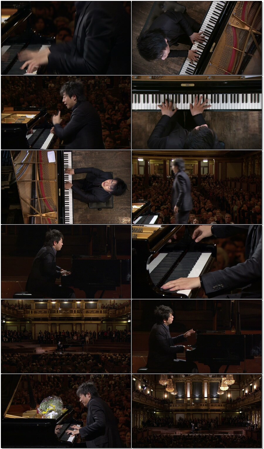 郎朗 – 维也纳独奏音乐会 Lang Lang Live in Vienna 2D+3D (2010) 蓝光原盘1080P [BDMV 52.4G]Blu-ray、Blu-ray、华语演唱会、古典音乐会、蓝光演唱会4