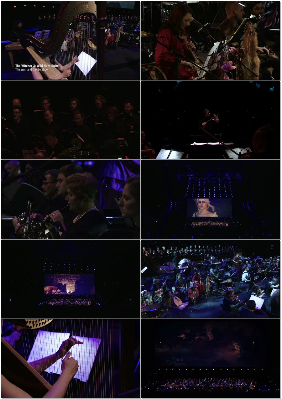 巫师3交响音乐会 The Witcher 3 : Wild Hunt Concert (2019) 1080P蓝光原盘 [BDMV 20.1G]Blu-ray、欧美演唱会、蓝光演唱会8