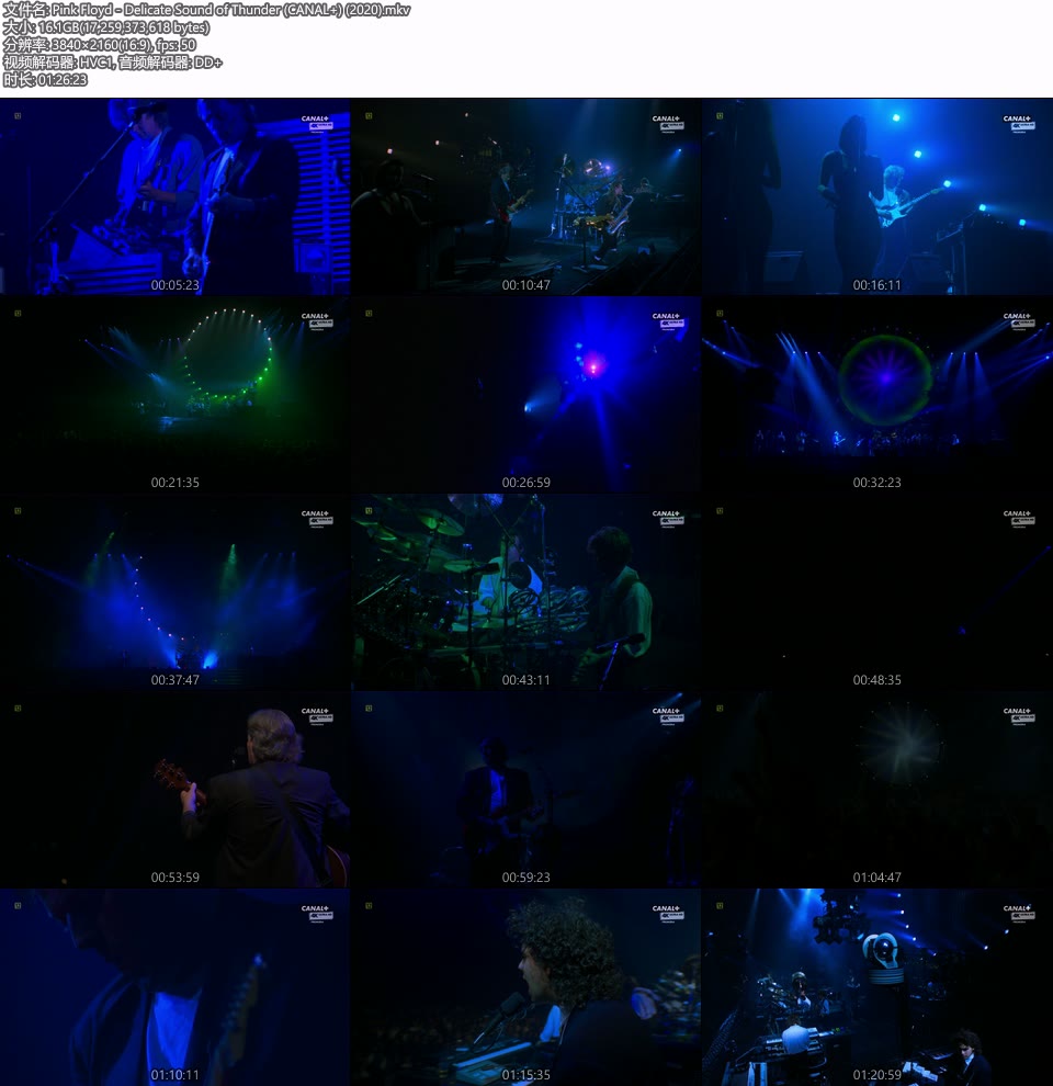 [4K] Pink Floyd 平克·弗洛伊德 – Delicate Sound of Thunder 雷霆之声演唱会 (CANAL+) (2020) 2160P UHDTV [MKV 16.1G]HDTV欧美、HDTV演唱会10