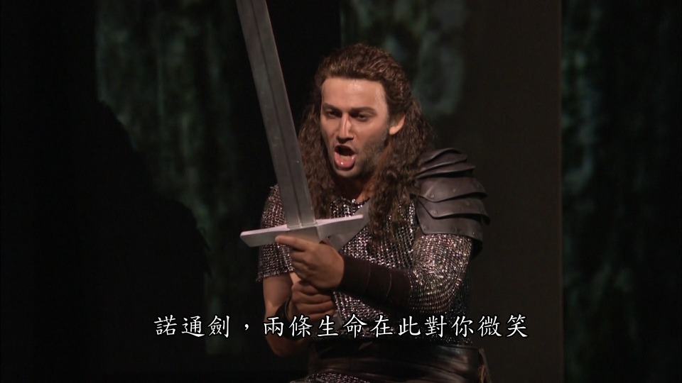 瓦格纳歌剧 : 尼伯龙根的指环 Richard Wagner : Der Ring Des Nibelungen (大都会歌剧院, Fabio Luisi) (2010-2012) 1080P蓝光原盘 [5BD BDMV 197.6G]Blu-ray、Blu-ray、古典音乐会、歌剧与舞剧、蓝光演唱会12