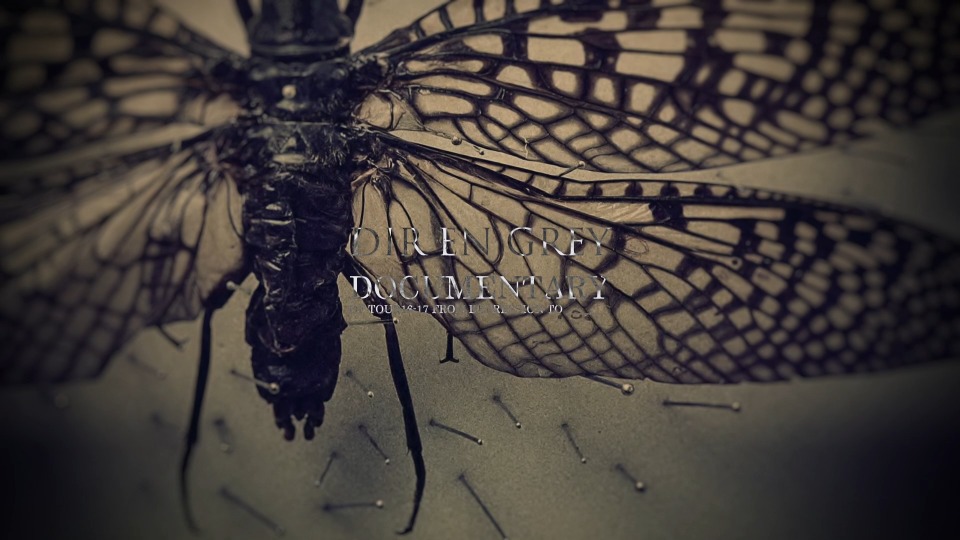 DIR EN GREY 灰色银币 – DOCUMENTARY OF TOUR 16-17 FROM DEPRESSION TO ____ 2018 [BDISO 22.6G]Blu-ray、Blu-ray、摇滚演唱会、日本演唱会、蓝光演唱会2