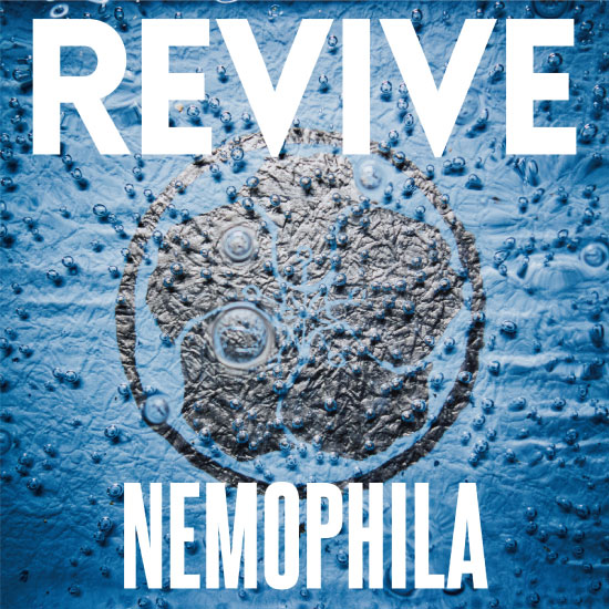 NEMOPHILA – REVIVE (2021) [FLAC 24bit／48kHz]