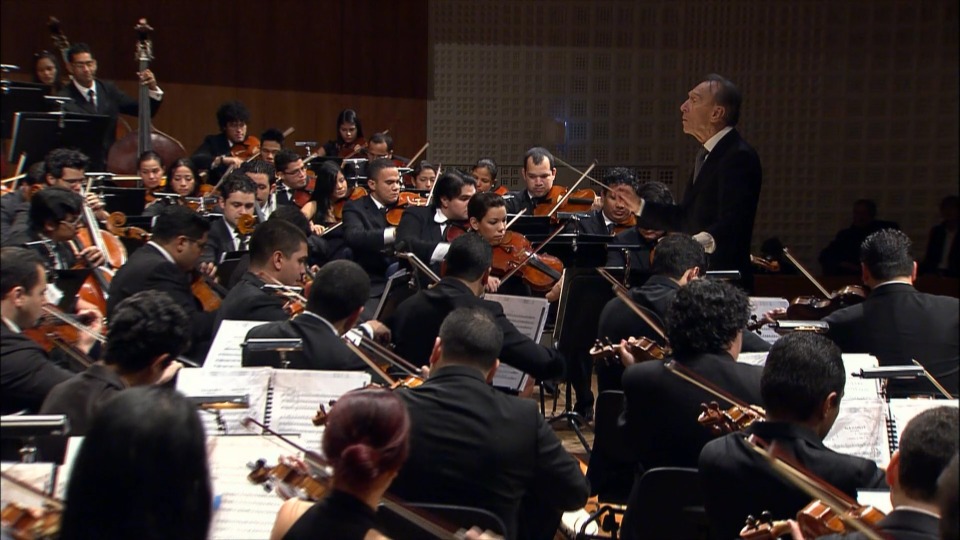 克劳迪奥·阿巴多 : 卢塞恩复活节音乐会 Claudio Abbado – Lucerne Festival at Easter (2010) 1080P蓝光原盘 [BDMV 21.1G]Blu-ray、古典音乐会、蓝光演唱会10