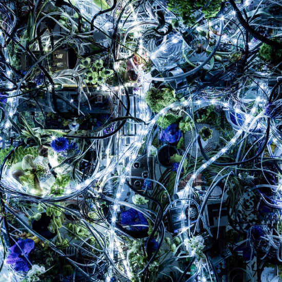 Aimer – ninelie EP (2016) [FLAC 24bit／96kHz]