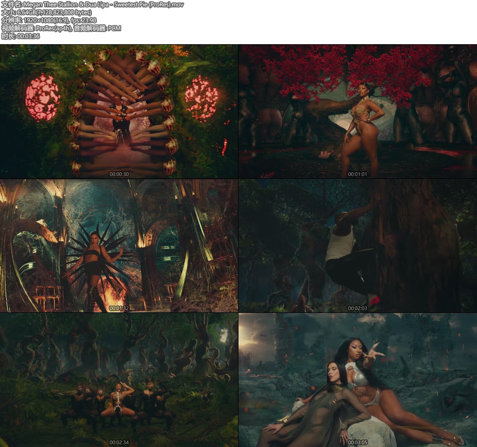 [PR] Megan Thee Stallion & Dua Lipa – Sweetest Pie (官方MV) [ProRes] [1080P 6.64G]ProRes、欧美MV、高清MV2