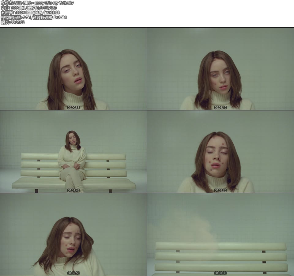 Billie Eilish – xanny (官方MV) [Blu-ray Cut 蓝光提取] [1080P 1.09G]Master、欧美MV、高清MV2