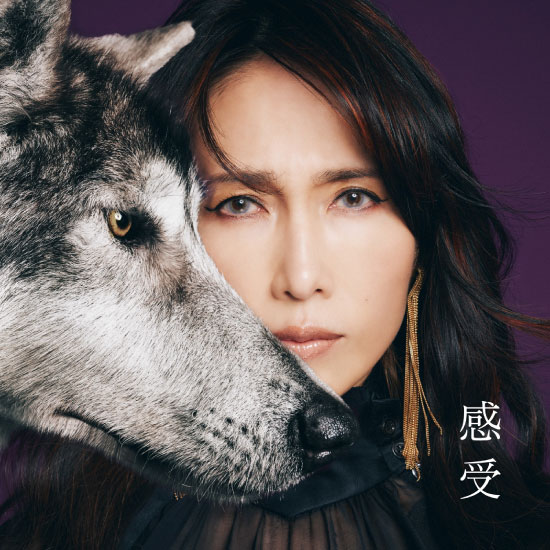 工藤静香 – 感受 -Shizuka Kudo 35th Anniversary self-cover album (2022) [FLAC 24bit／96kHz]