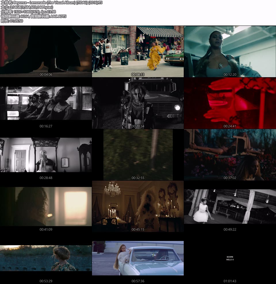 (应求) 碧昂丝 Beyonce – Lemonade (The Visual Album) [TIDAL] (2016) 1080P WEB [TS 3.4G]HDTV欧美、HDTV演唱会2