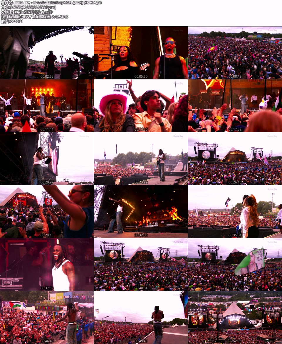 Burna Boy – Live At Glastonbury 2024 (2024) 2160P 4K HDR WEB [TS 9.6G]HDTV欧美、HDTV演唱会2