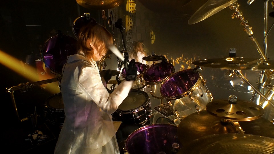 DIR EN GREY 灰色银币 – TOUR22-23 PHALARIS [初回生産限定盤] (2024) 1080P蓝光原盘 [3BD BDISO 66.1G]Blu-ray、Blu-ray、摇滚演唱会、日本演唱会、蓝光演唱会6