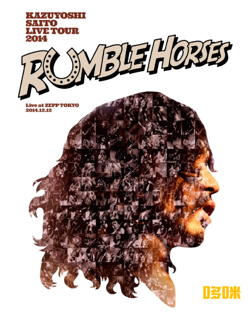 斉藤和義 – KAZUYOSHI SAITO LIVE TOUR 2014“RUMBLE HORSES”Live at ZEPP TOKYO (2015) 1080P蓝光原盘 [BDISO 34.8G]