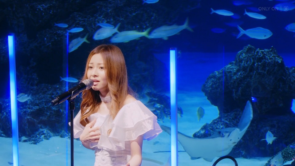 倉木麻衣 Mai Kuraki Premium Request Live 2024 in Sunshine Relaxing Night Aquarium (U-NEXT Channel 2024.09.22) 1080P WEB [MP4 3.1G]HDTV日本、HDTV演唱会4