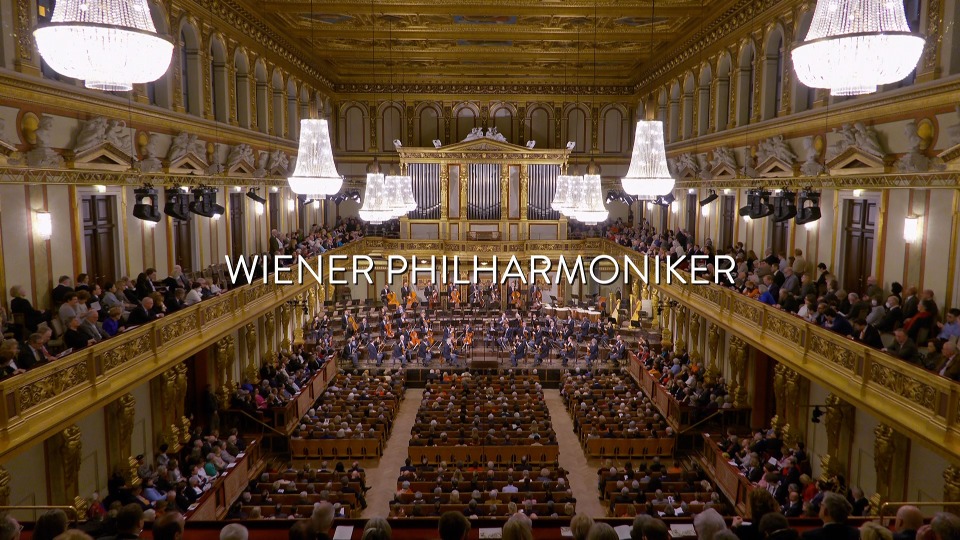 泰勒曼 勋伯格与施特劳斯 Schoenberg & Strauss (Christian Thielemann, Wiener Philharmoniker) (2024) 1080P蓝光原盘 [BDMV 20.7G]Blu-ray、古典音乐会、蓝光演唱会2