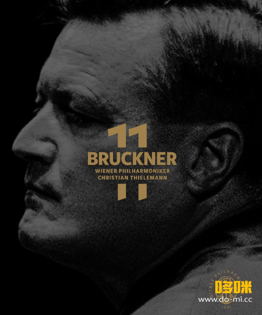 蒂勒曼 11: 布鲁克纳交响曲全集 Bruckner 11 : The Complete Symphonies (Christian Thielemann, Wiener Philharmoniker) (2023) 1080P蓝光原盘 [5BD BDMV 216.6G]