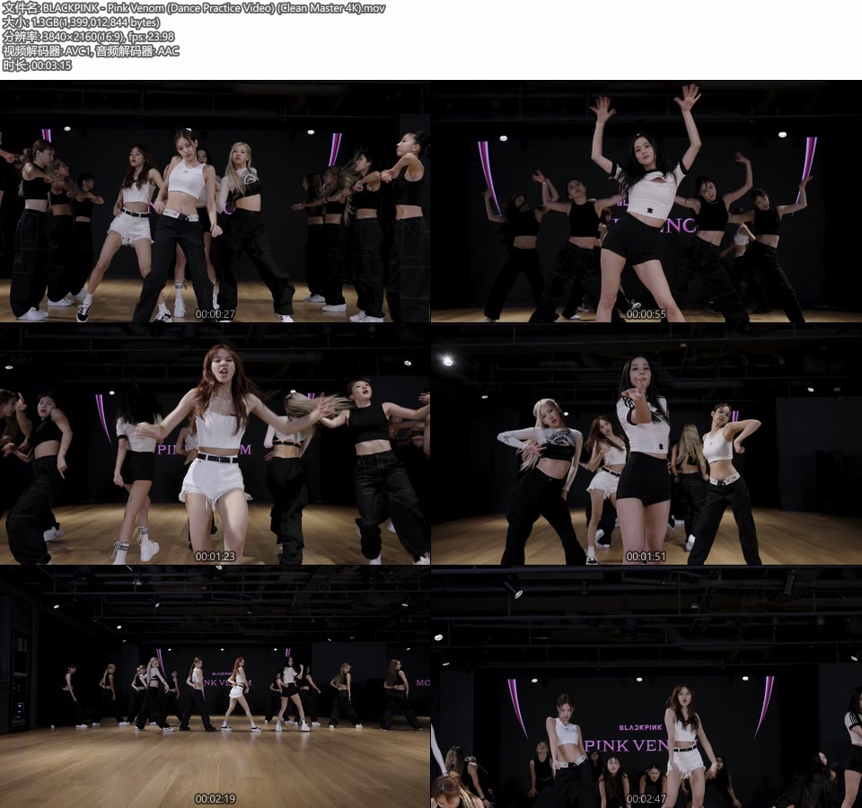 [4K] BLACKPINK – Pink Venom (Dance Practice Video) (无标 Clean Master) (官方MV) [2160P 1.3G]4K MV、Master、韩国MV、高清MV2