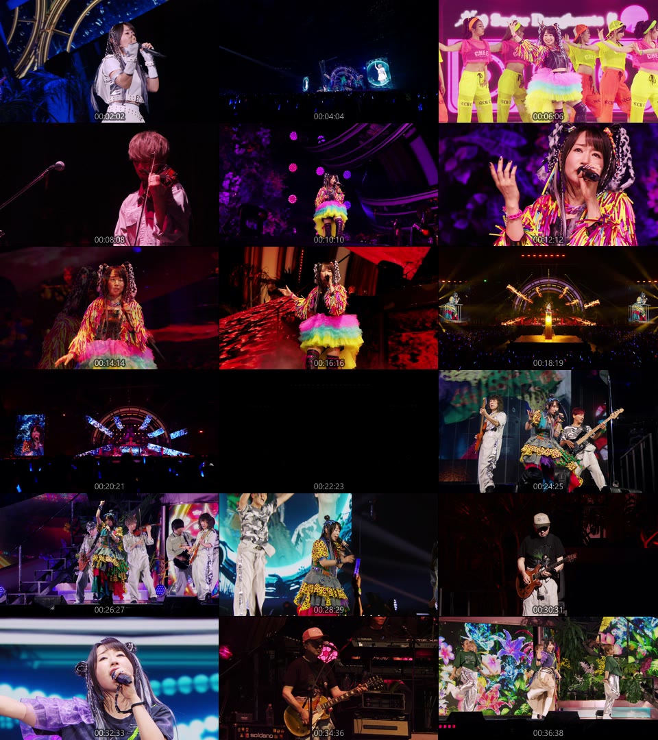 水树奈奈 (Nana Mizuki, 水樹奈々) – NANA MIZUKI LIVE JUNGLE x PARADE (2024) 1080P蓝光原盘 [5BD BDISO 176.5G]Blu-ray、日本演唱会、蓝光演唱会12