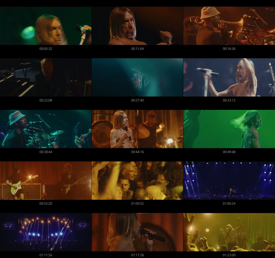 Iggy Pop 伊基·波普 – Montreux Jazz Festival 2023 (2025) 1080P蓝光原盘 [BDMV 17.8G]Blu-ray、Blu-ray、摇滚演唱会、欧美演唱会、蓝光演唱会14